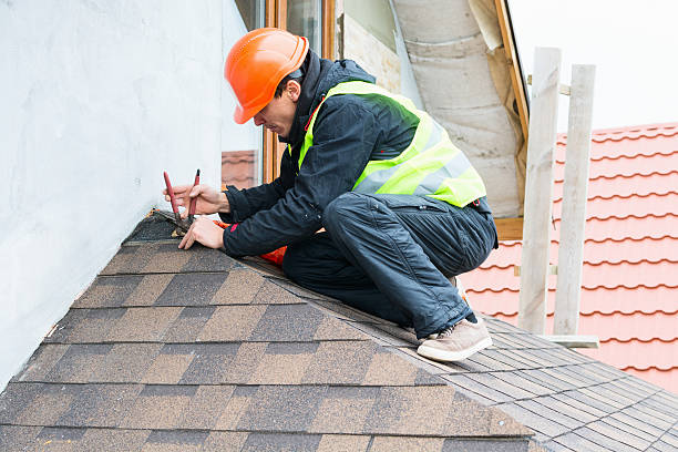 Best Roof Gutter Cleaning  in Rainsville, AL